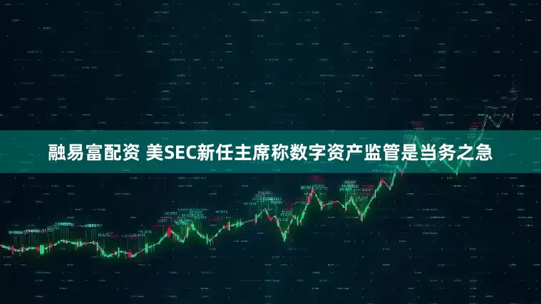 融易富配资 美SEC新任主席称数字资产监管是当务之急