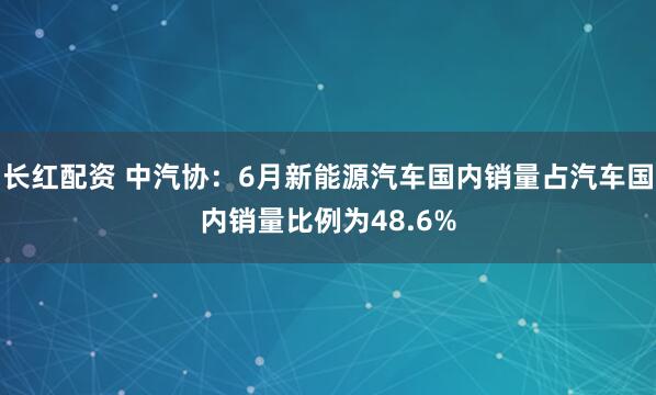 长红配资 中汽协：6月新能源汽车国内销量占汽车国内销量比例为48.6%