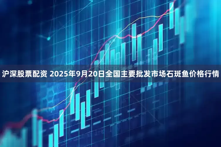 沪深股票配资 2025年9月20日全国主要批发市场石斑鱼价格行情